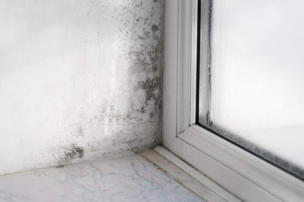 Moisture Condensation on Wall