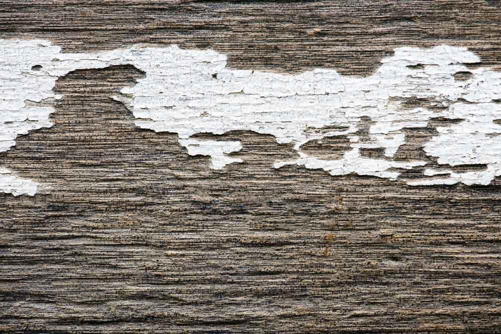 Wood Rot Due to Water Entry