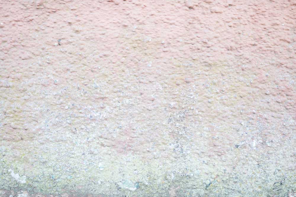 Knockdown Textured Paint