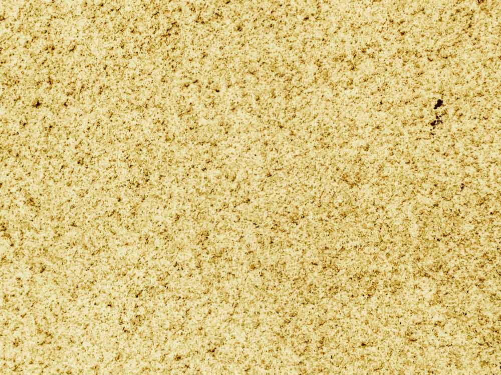 Sand Textured Paint