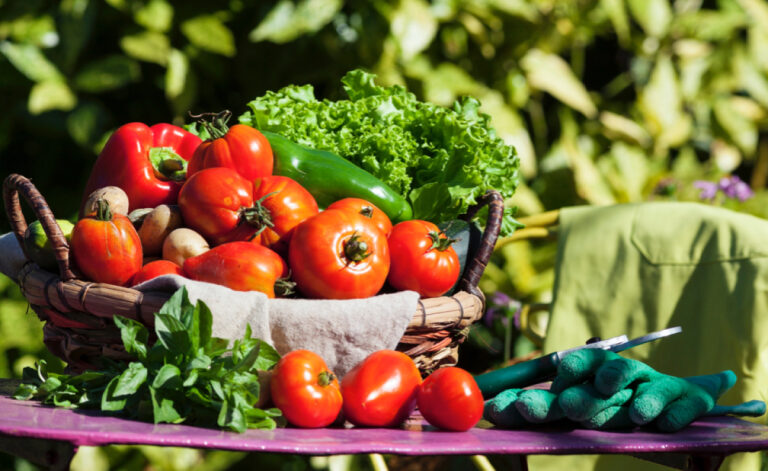 Kitchen Gardening in Home is Now in Trend
