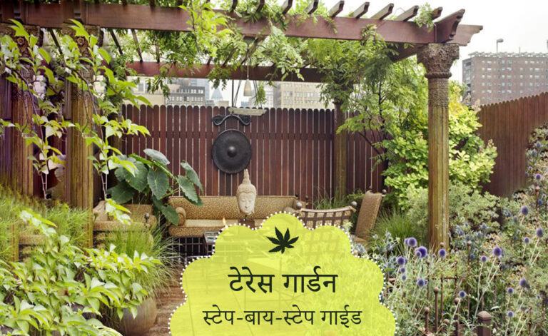 टेरेस गार्डन