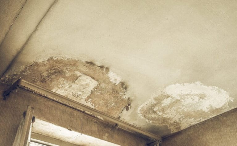 Dampness on Ceiling