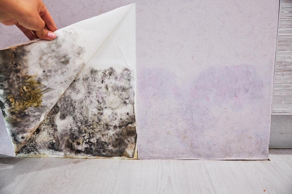 Peeling old wallpaper