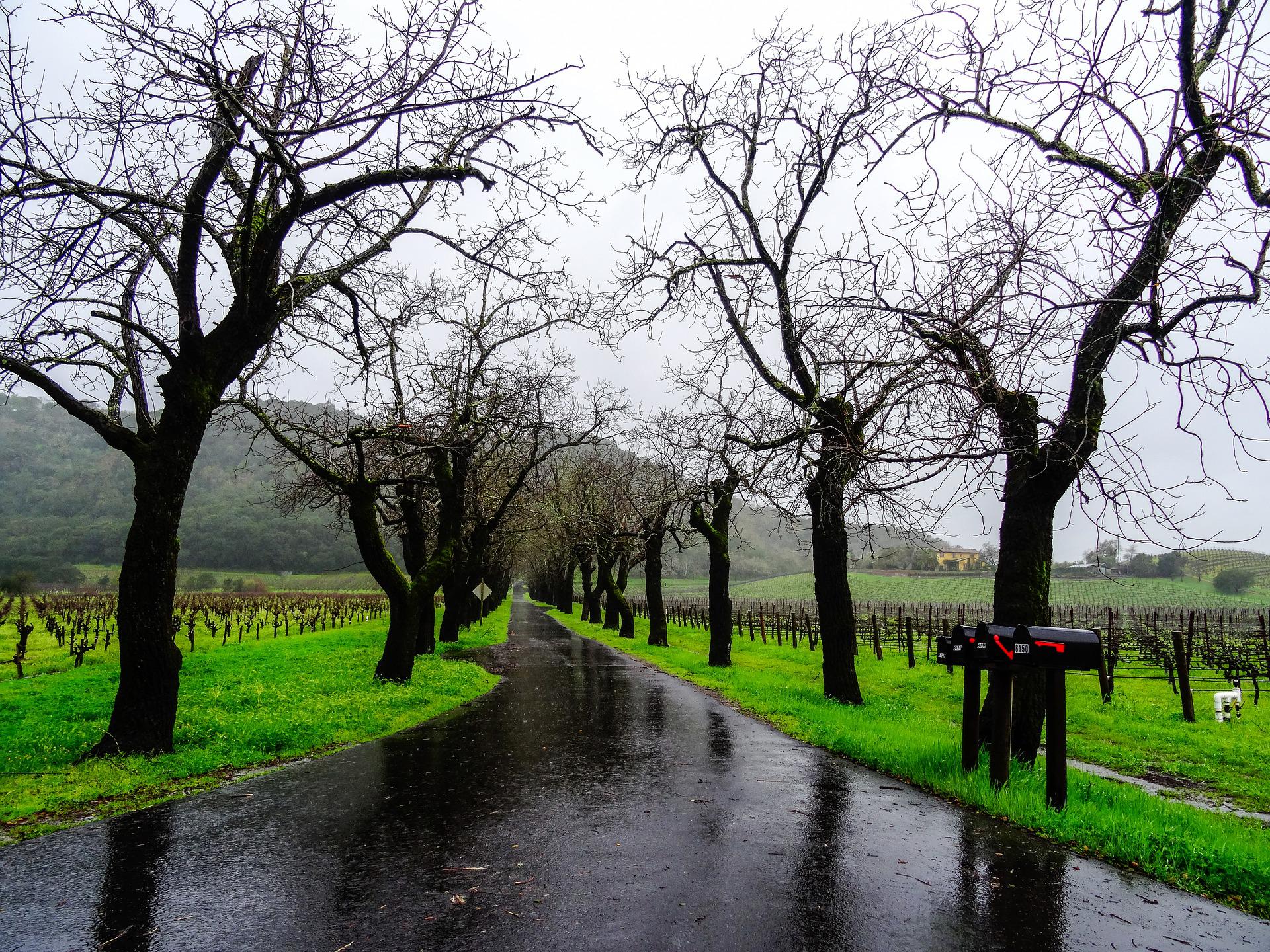 Monsoon Rains - Soothing & positive vibes