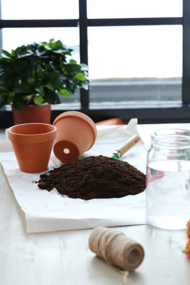 Adding the Soil in the Pots