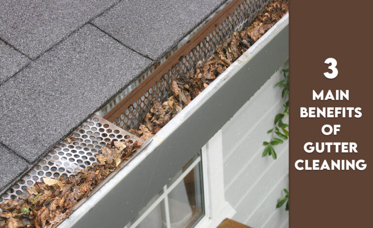 Roof Gutter Required Cleaning