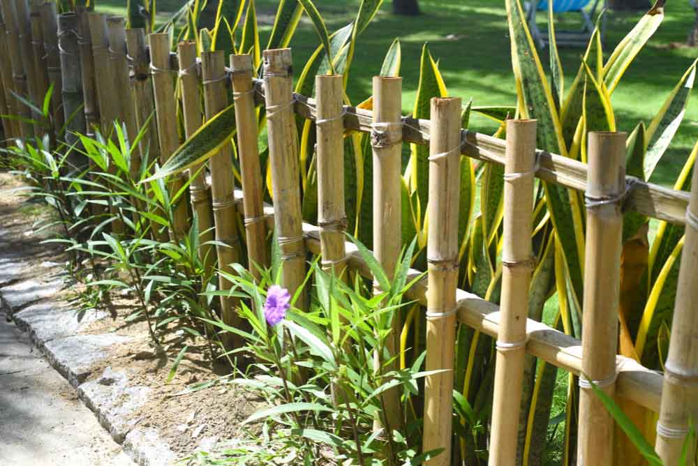 Bamboo Fencing
