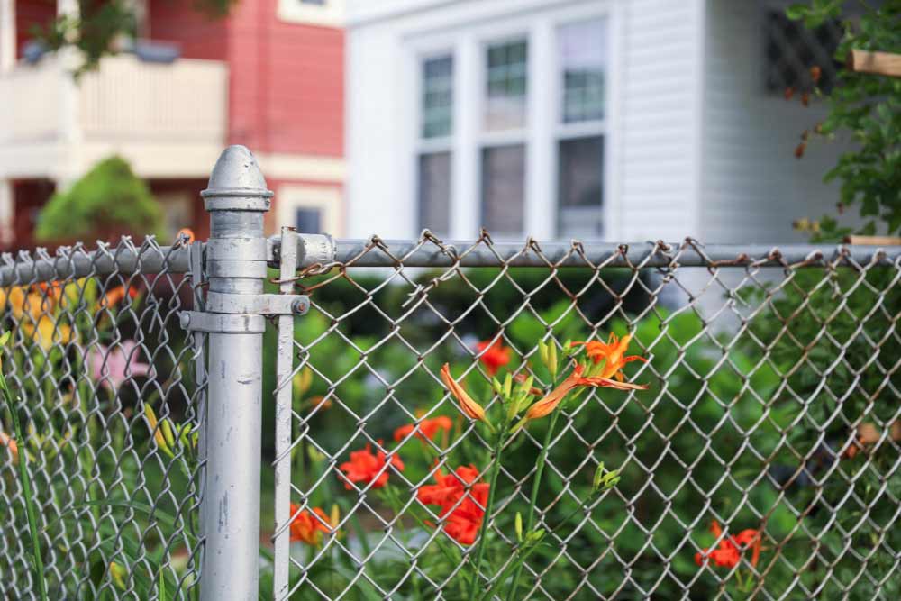 Chain Link Fence