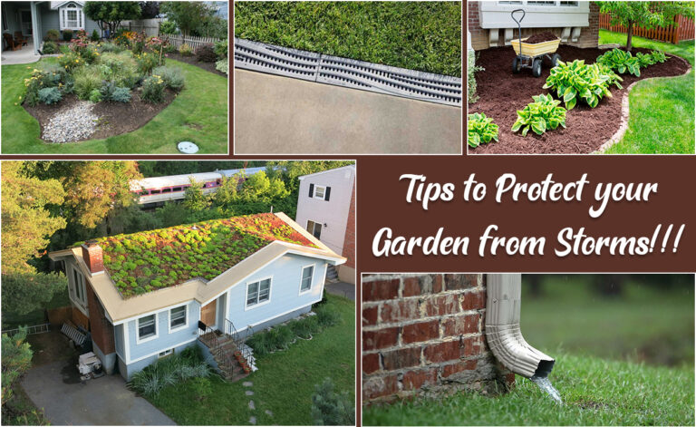 Landscaping Tips for Storm
