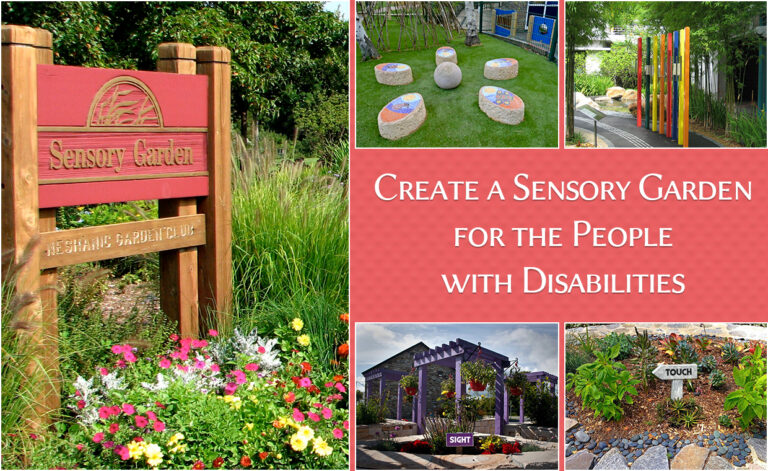Sensory Garden