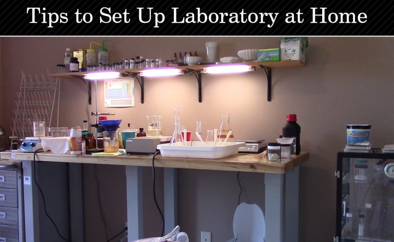 Tips to Set Up Laboratory at Home