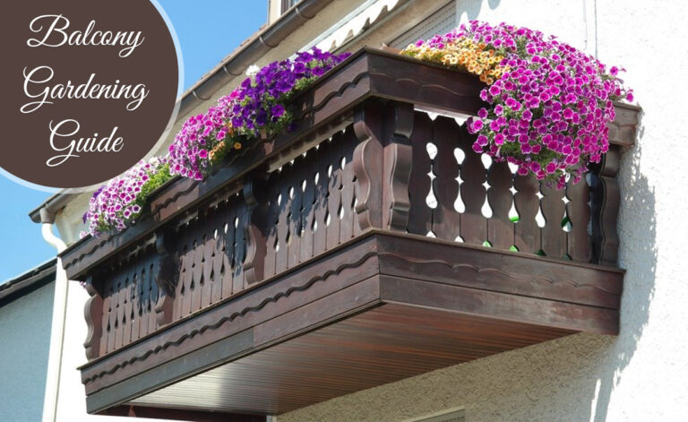 Balcony Garden with Flowering Plants