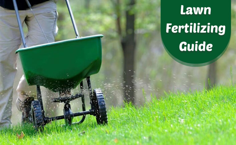 Fertilizing your Lawn