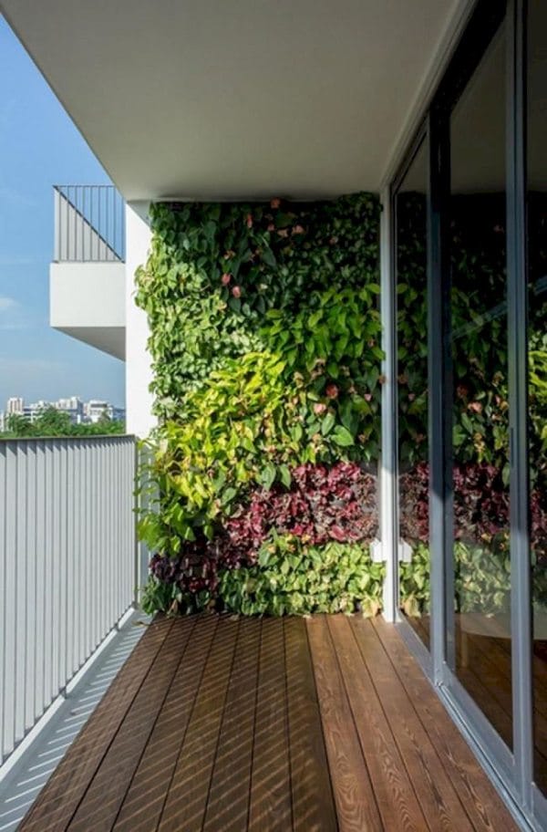 Vertical garden in a Balcony