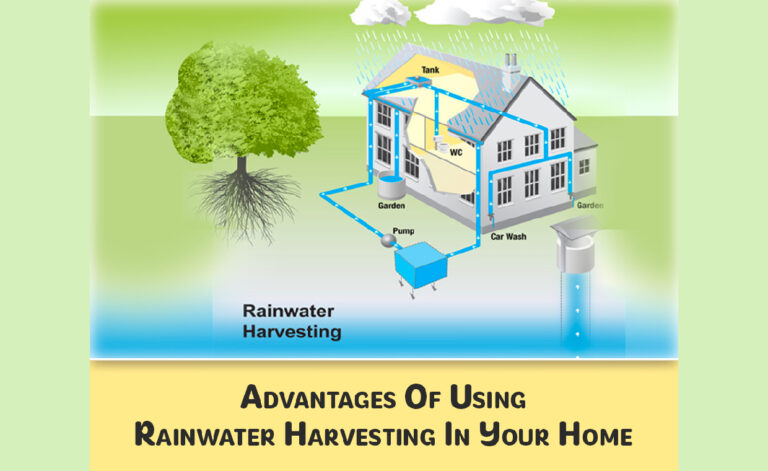 Rainwater Harvesting