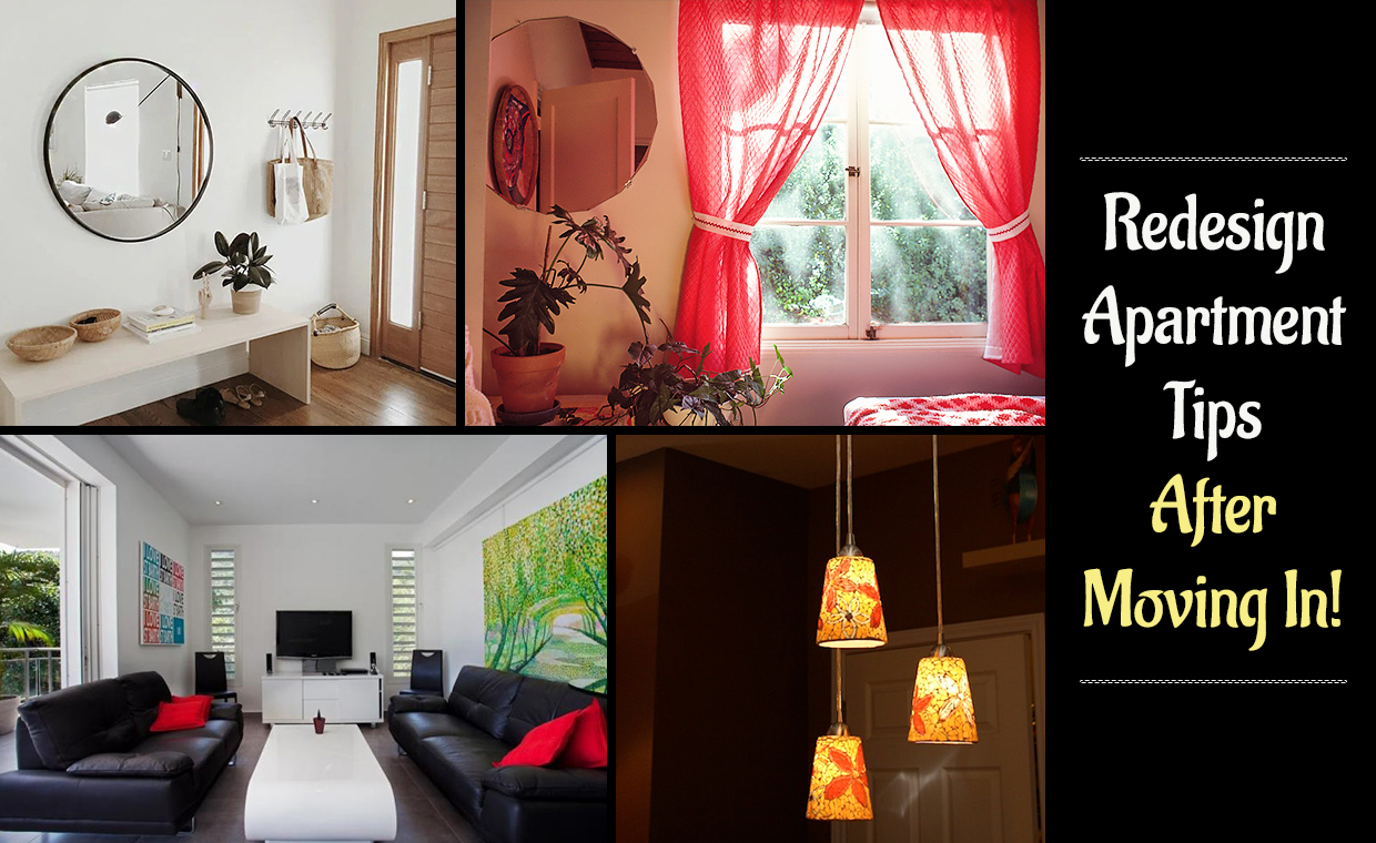 Redesign Apartment Tips - After Moving In!