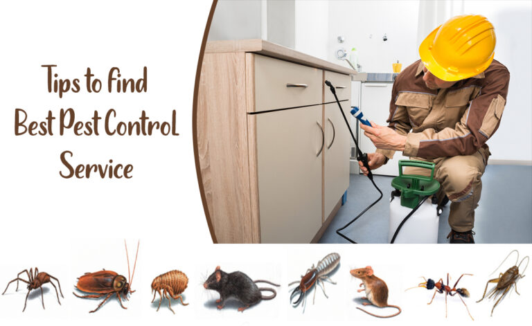 Tips to find Best Pest Control Service