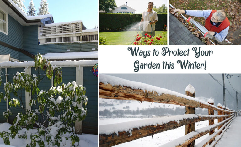 Winter Garden Protection