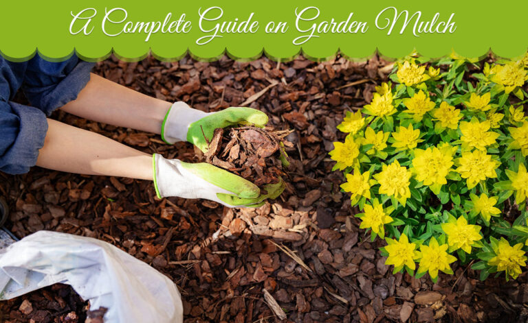 Mulching
