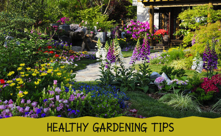 Healthy Gardening Tips