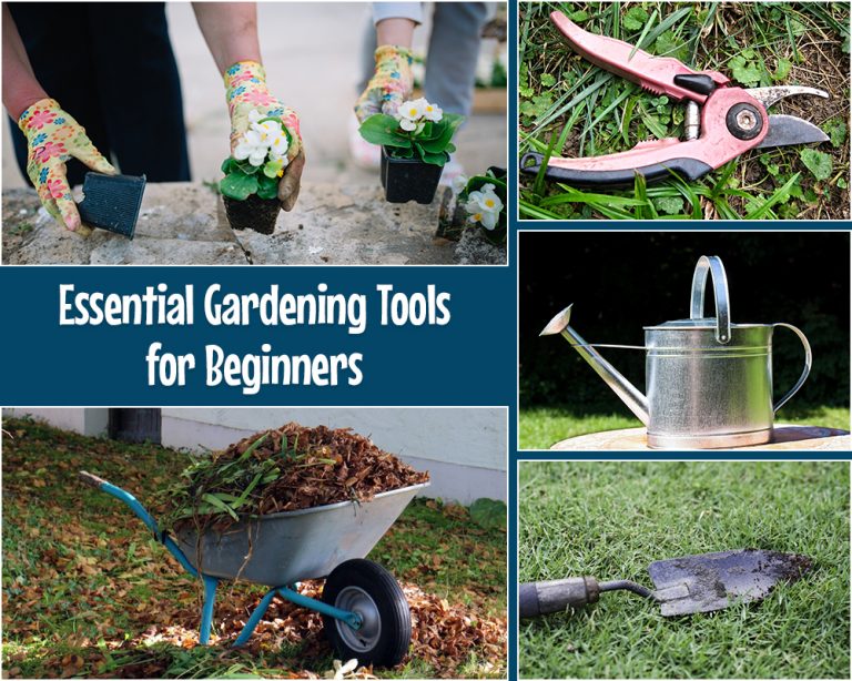 Gardening Tools