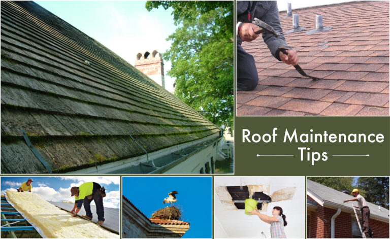 Roof Maintenance Tips