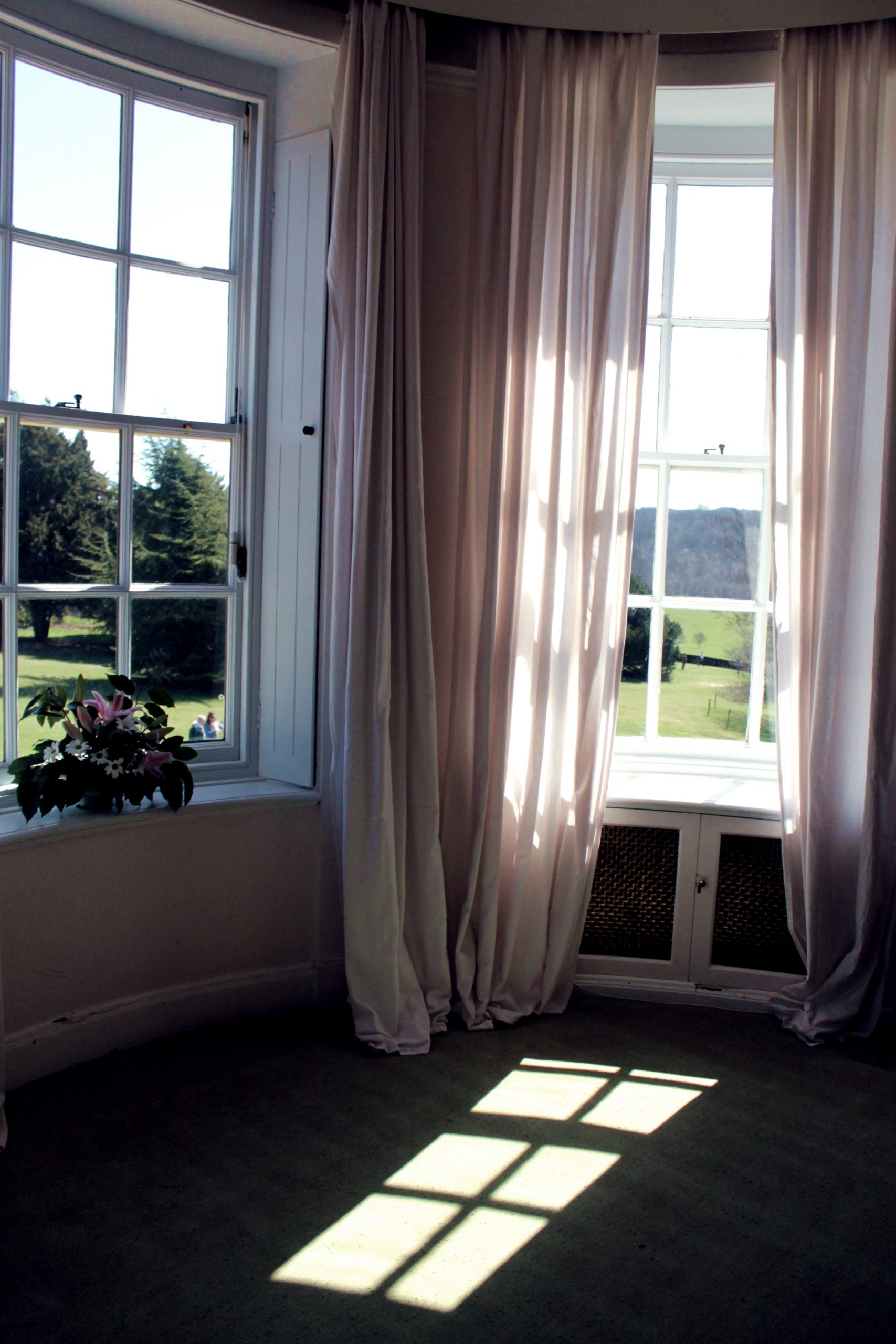 Open Door and Window to Prevent Mold