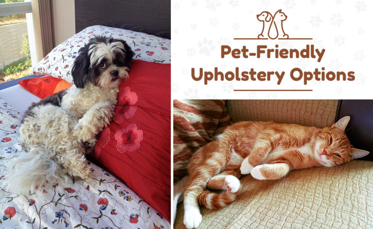 Pet-Friendly Upholstery Options