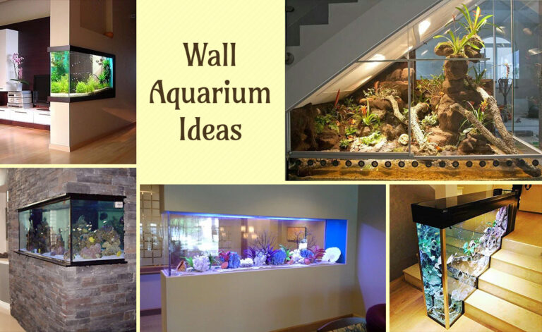 Wall Aquarium Ideas