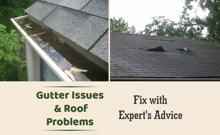 Gutter Issues & Roof Problems - Fix with Expert's Advice
