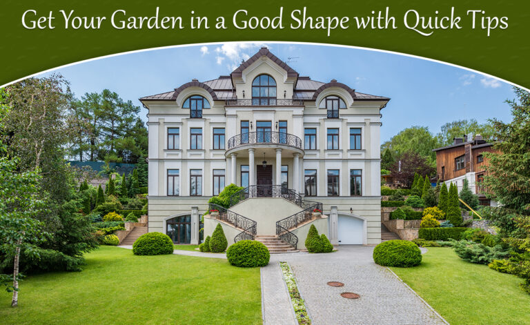 Get Your Garden in a Good Shape with Quick Tips