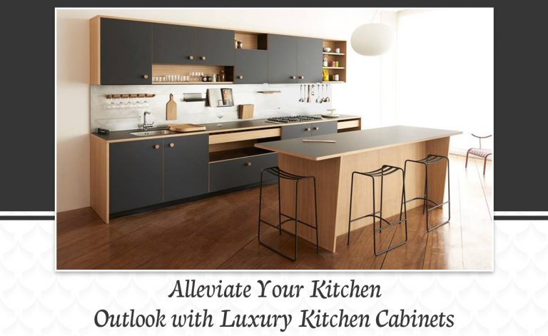 Luxury Kitchen Cabinets: Elements and Features!