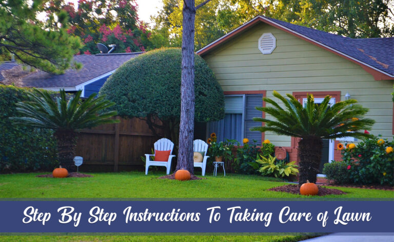 Step By Step Instructions To Taking Care of Lawn