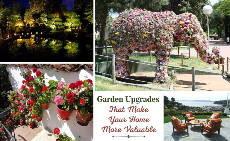 Garden Transformation