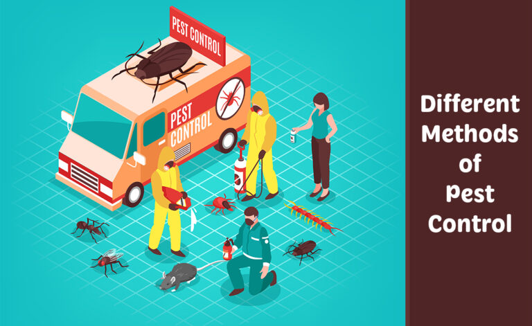 Pest Control Methods