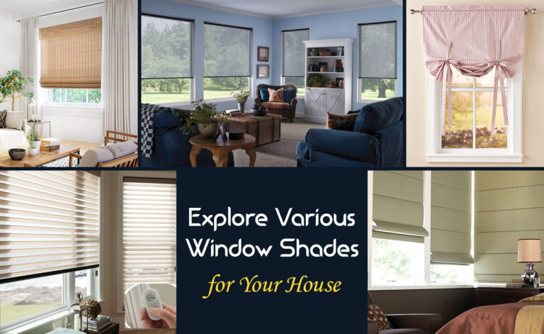 Explore Various Window Shades for your Home