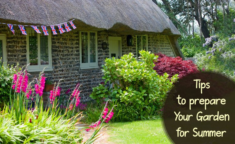 Tips to prepare Your Garden for Summer