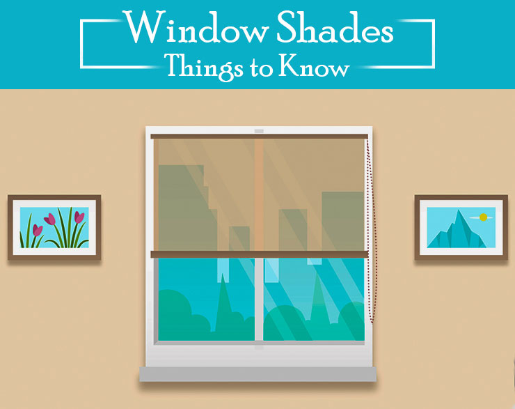 Window Shades : All the Things you Need to Know!