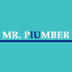 Mr Plumber