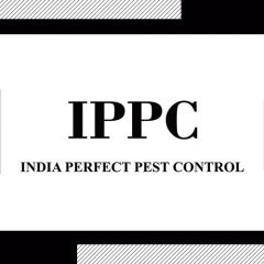 India Perfect Pest Control