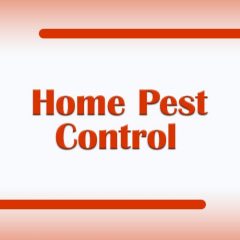 Home Pest Control