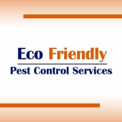Eco Friendly Pest Control Services