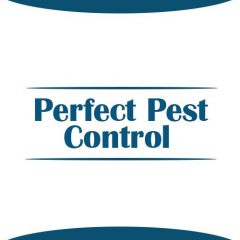 Perfect Pest Control