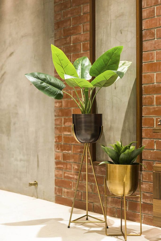 Metal-Framed-Planters-with-Plants-in-it
