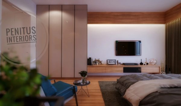 T.V. Unit Interior Design