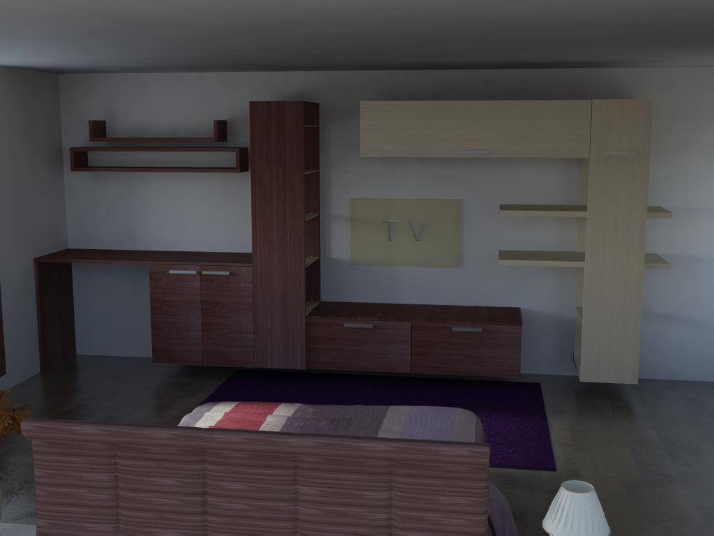 Professional Projects 1