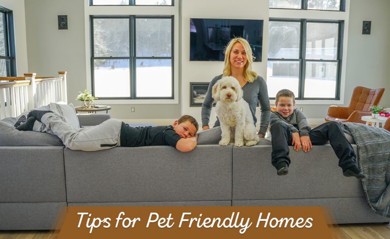 Tips to design a Pet Friendly House!