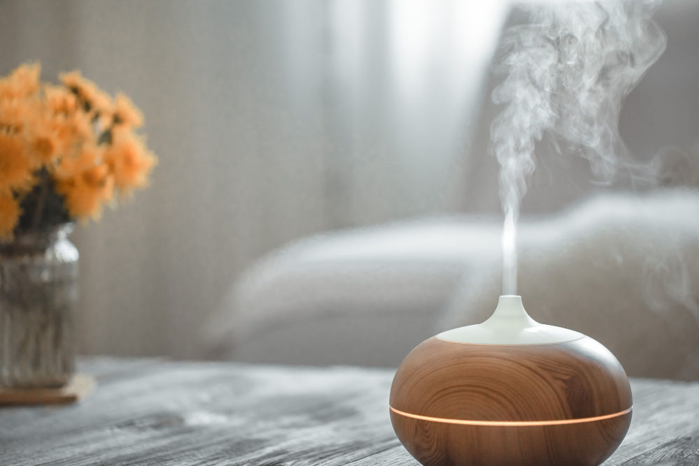 Vaporiser or Steam Humidifier