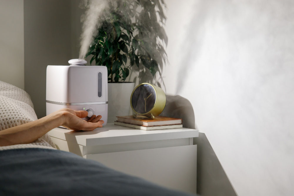Warm Mist Humidifiers
